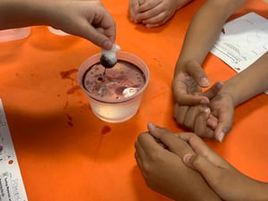 5th Grade Learns about Oil Spills 2